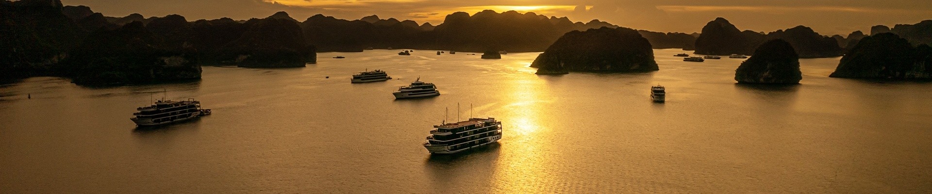 Budget Cruises